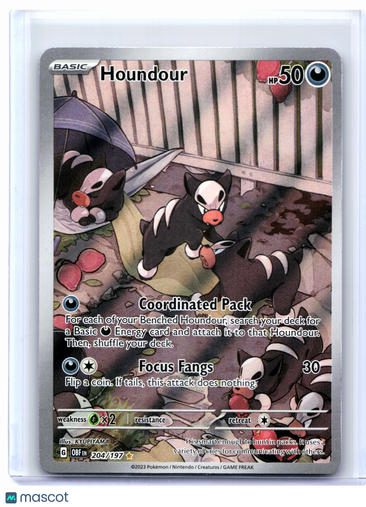 2023 Pokemon—Houndour #204/197 Obsidian Flames—Illustration Rare Holo [MP]