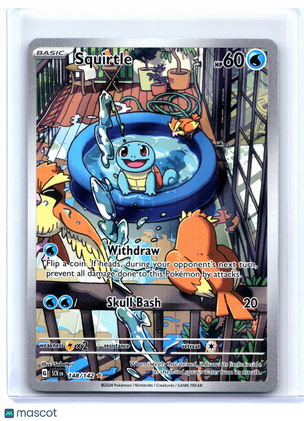 2024 Pokemon—Squirtle #148/142 Stellar Crown—Illustration Rare Holo [HP]