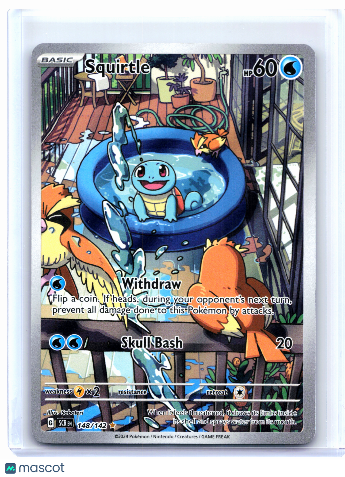 2024 Pokemon—Squirtle #148/142 Stellar Crown—Illustration Rare Holo [HP]