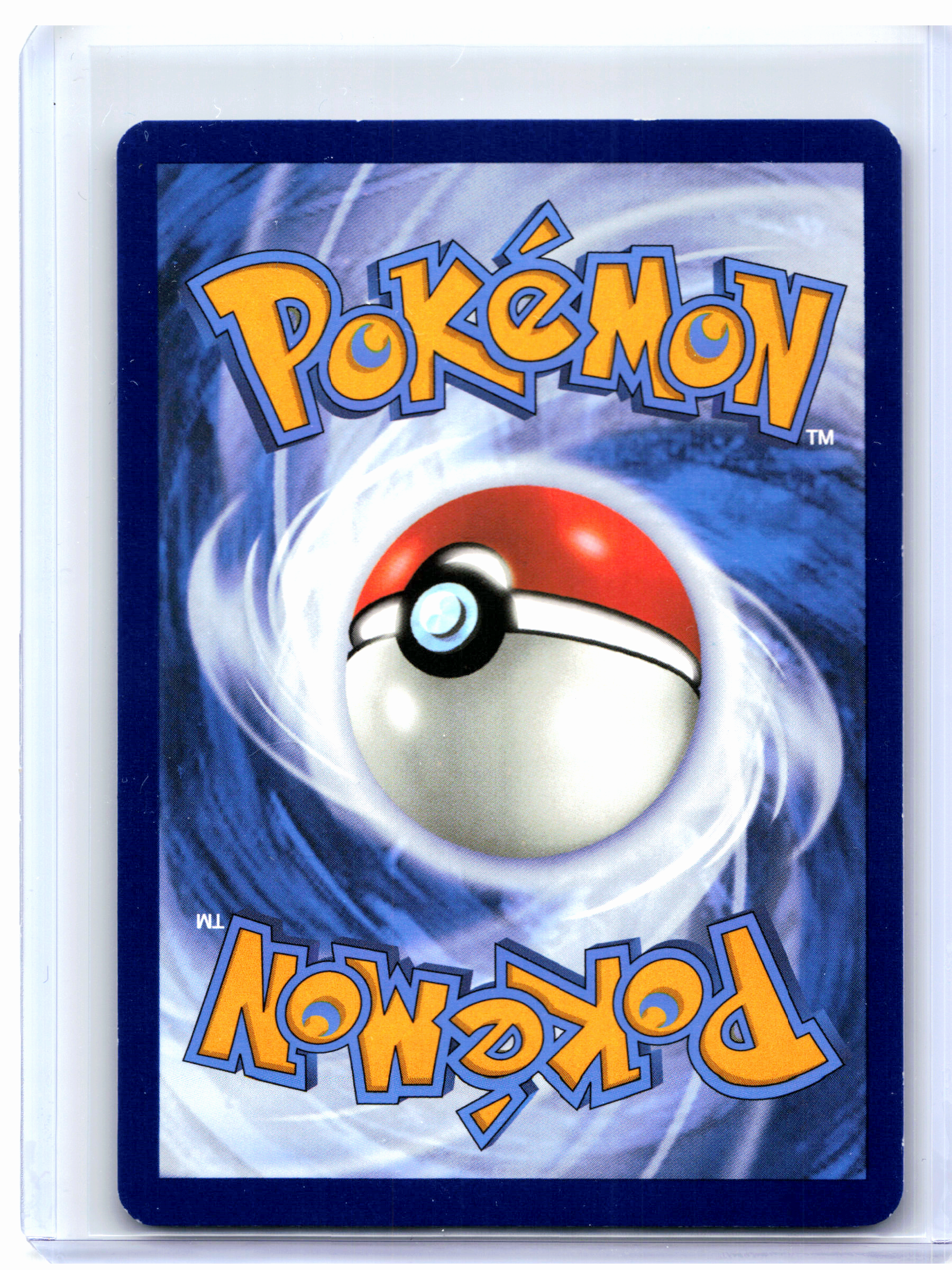 2024 Pokemon—Squirtle #148/142 Stellar Crown—Illustration Rare Holo [HP]