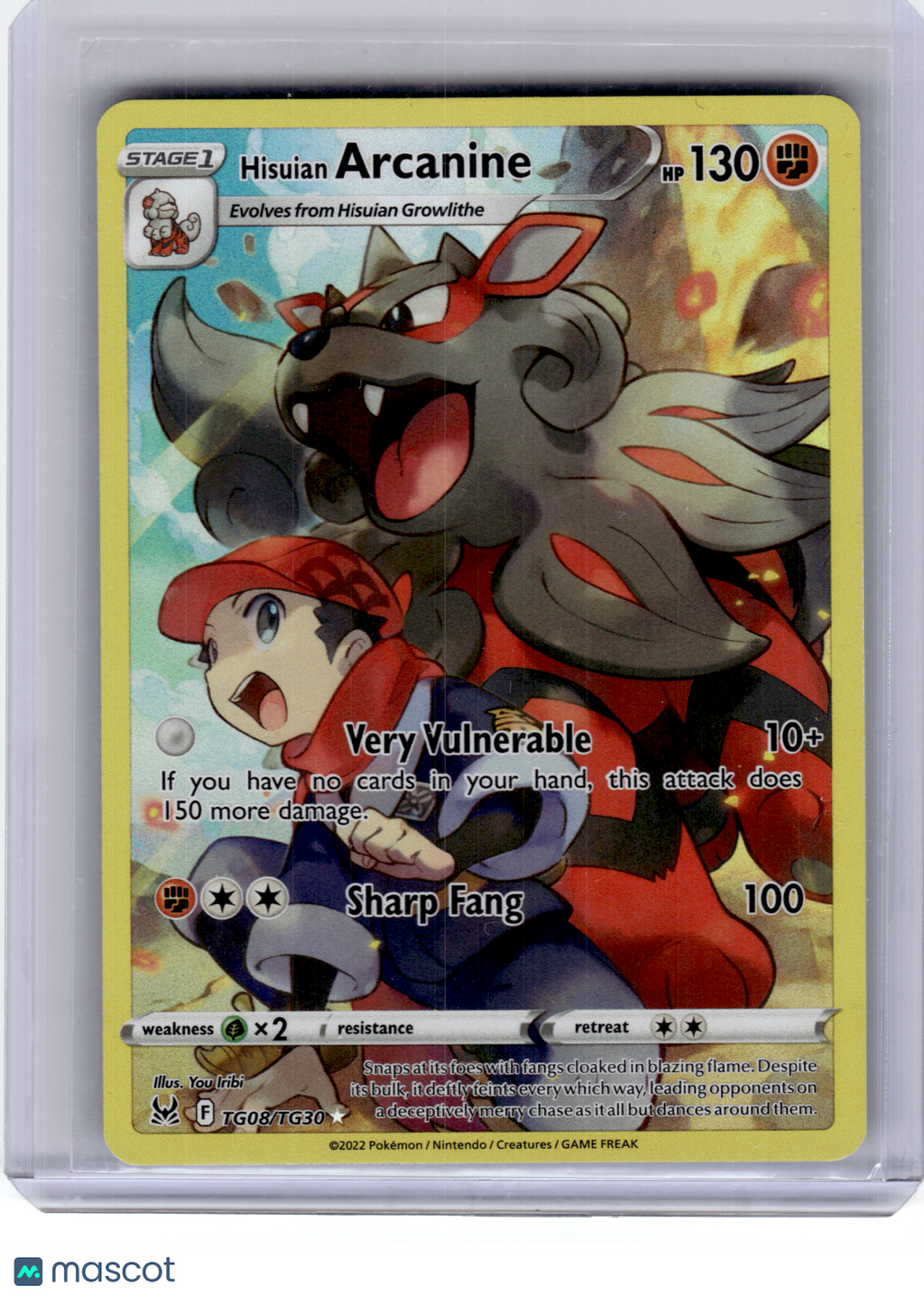 2022 Pokemon—Hisuian Arcanine #TG08 Lost Origin Trainer Gallery—Ultra Rare Holo