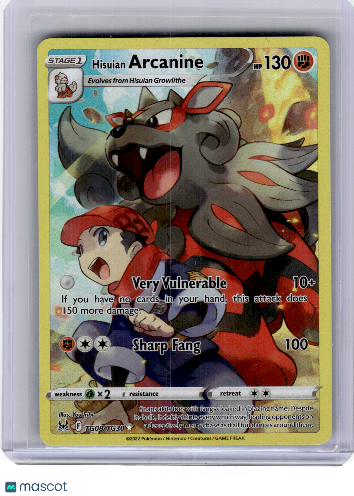 2022 Pokemon—Hisuian Arcanine #TG08 Lost Origin Trainer Gallery—Ultra Rare Holo