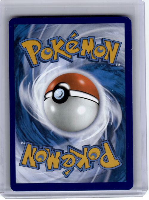 2023 Pokemon—Garganacl #202 Paradox Rift—Illustration Rare Holo [Lightly Played]