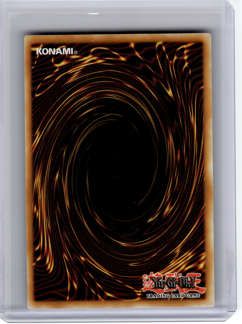 2025 Yu-Gi-Oh!—Primite Dragon Ether Beryl #BLMM-EN130 BLMM—SR Foil (1st Edition)