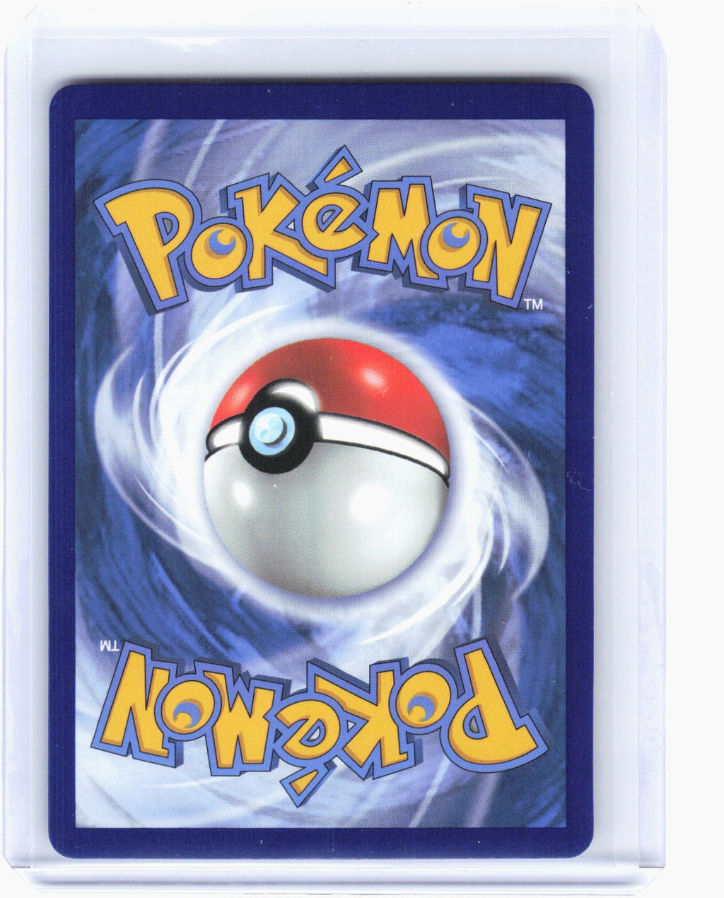 2020 Pokemon—Leon #195/185 Vivid Voltage—Secret Rare Rainbow