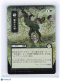 2026 Magic: The Gathering—Shared Roots (Silver Scroll) #0188 SOA—Uncommon Foil