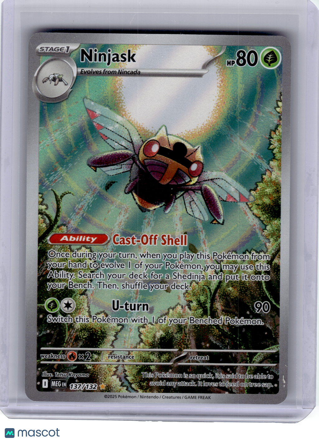 2025 Pokemon—Ninjask #137 Mega Evolution—Illustration Rare Holo