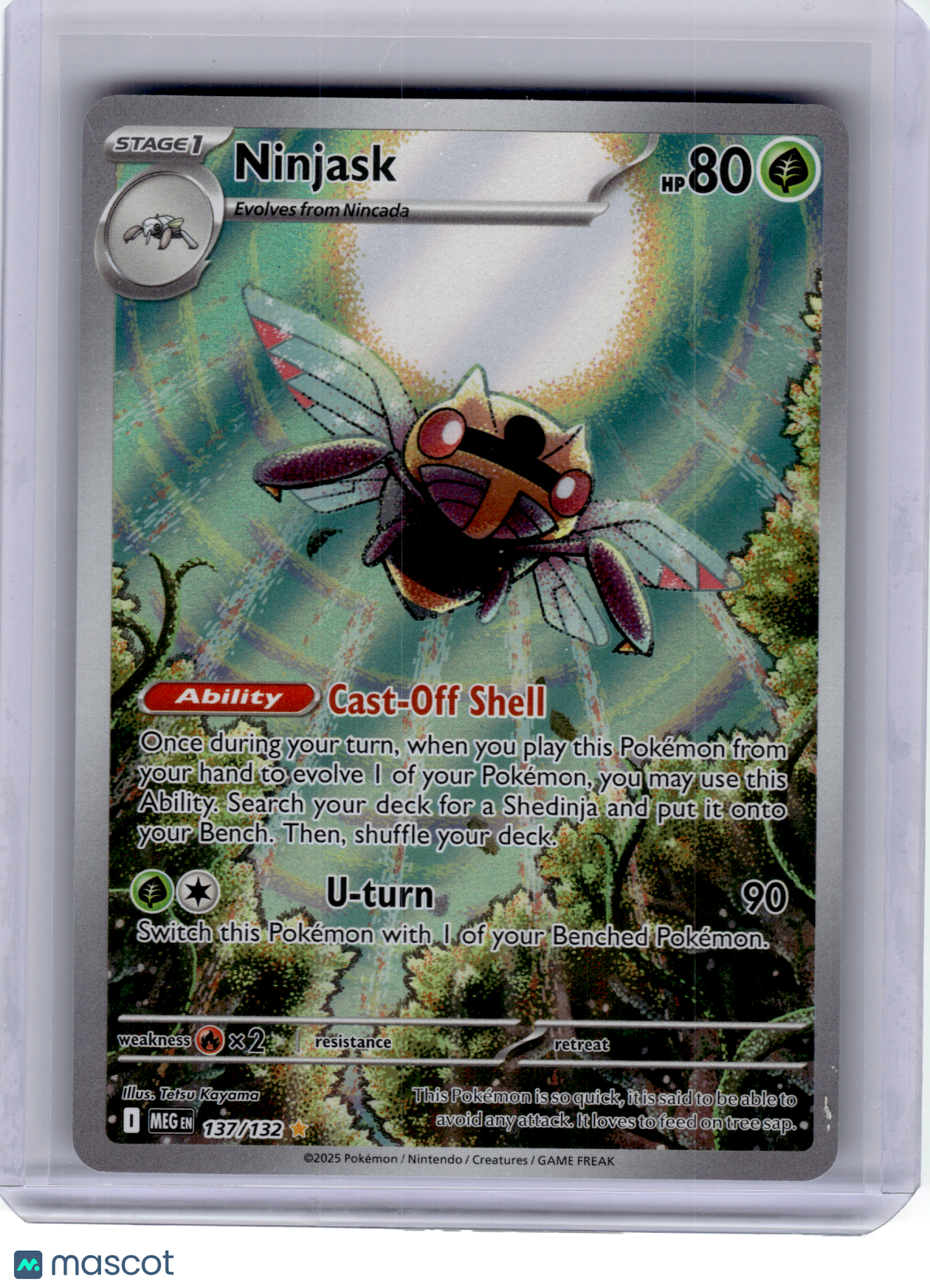 2025 Pokemon—Ninjask #137 Mega Evolution—Illustration Rare Holo