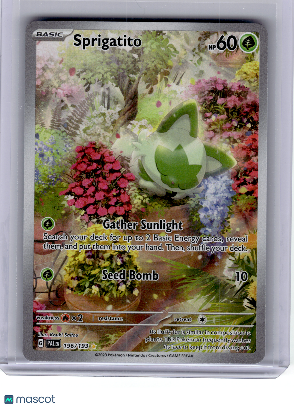2023 Pokemon—Sprigatito #196 Paldea Evolved—Illustration Rare Holo [LP]