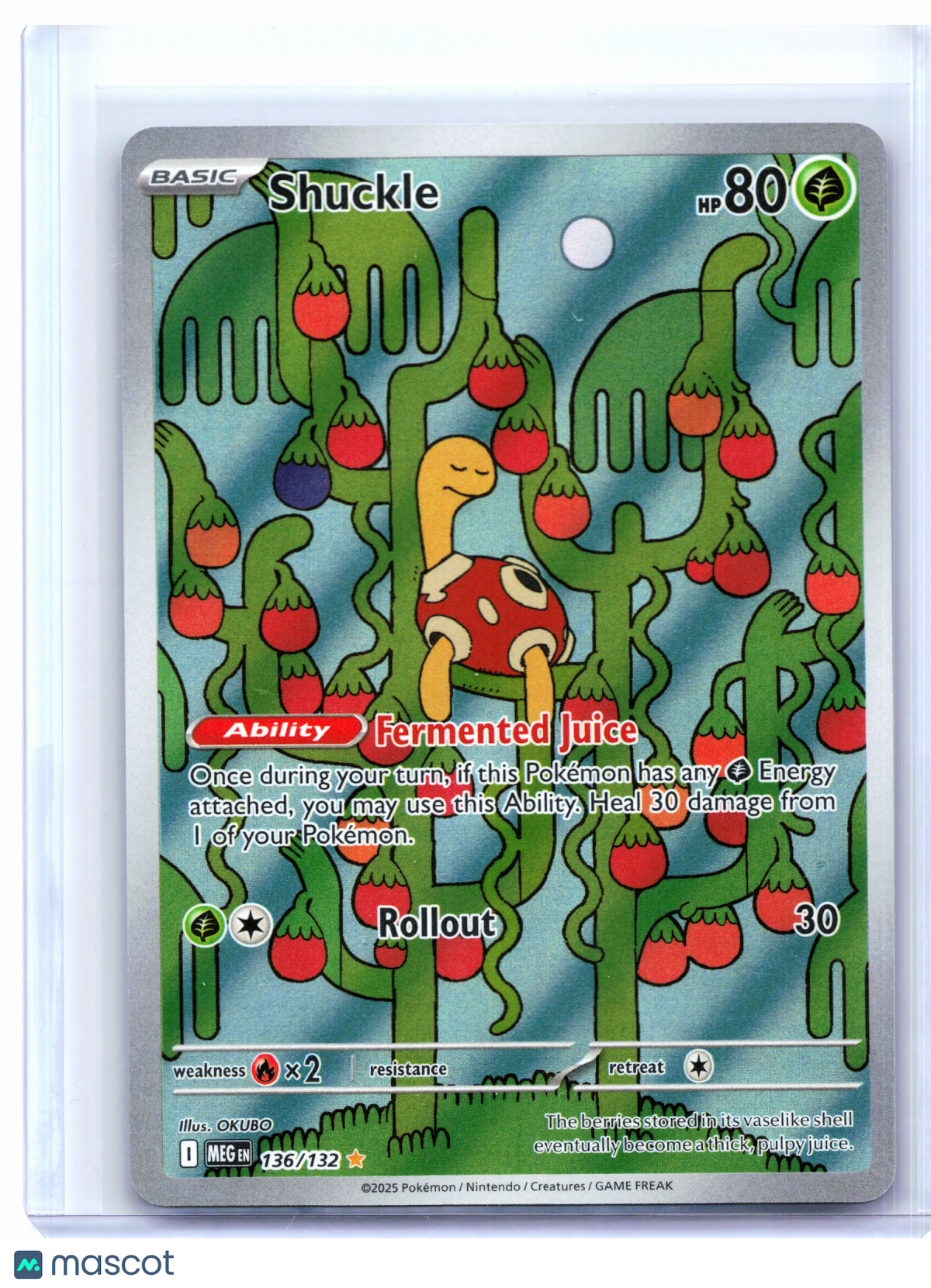 2025 Pokemon—Shuckle #136/132 Mega Evolution Base Set—Illustration Rare Holo