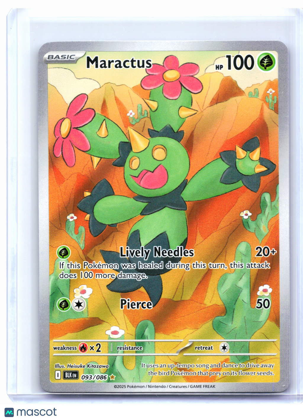 2025 Pokemon—Maractus #093/086 Black Bolt—Illustration Rare Holo