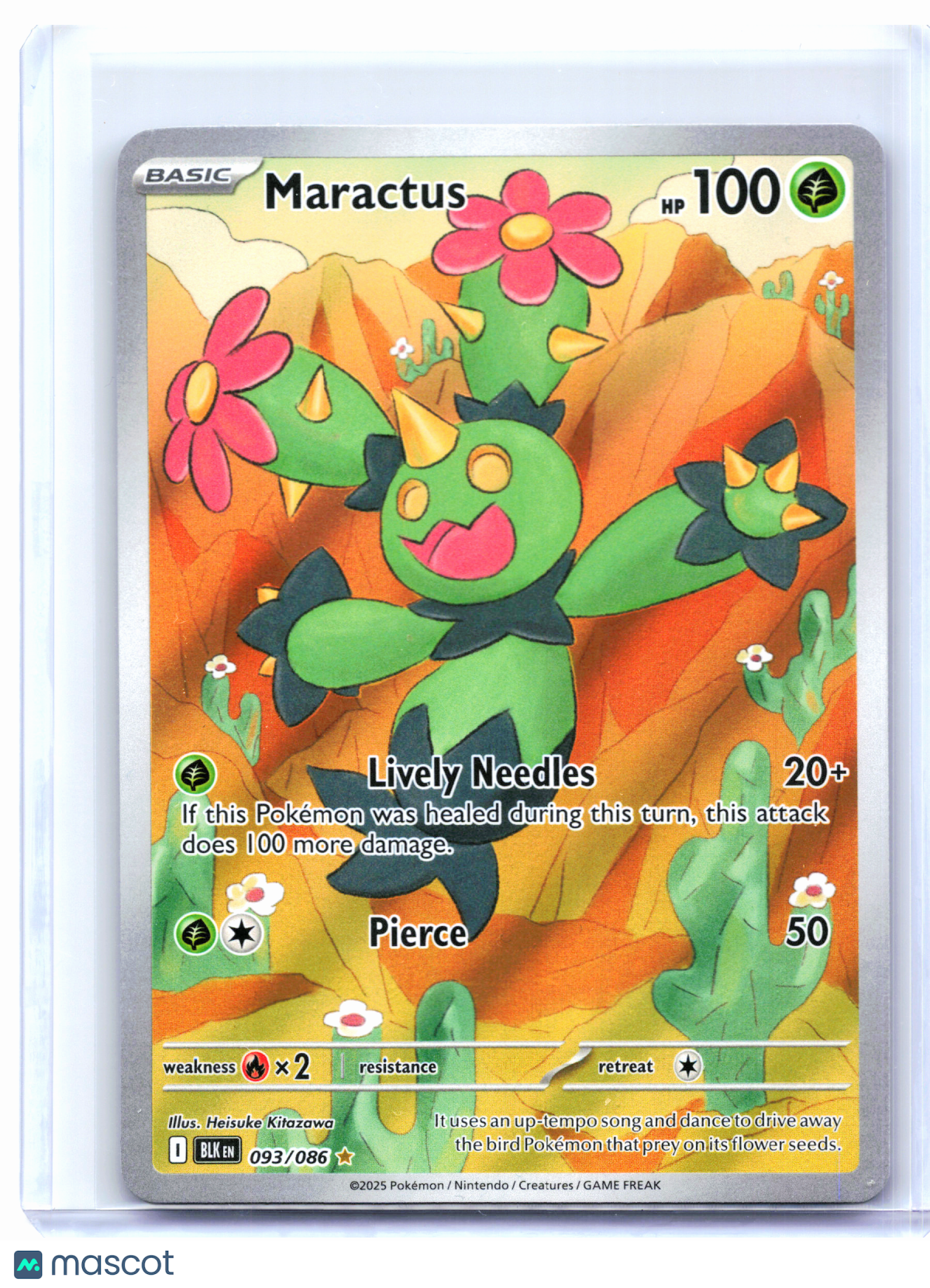 2025 Pokemon—Maractus #093/086 Black Bolt—Illustration Rare Holo