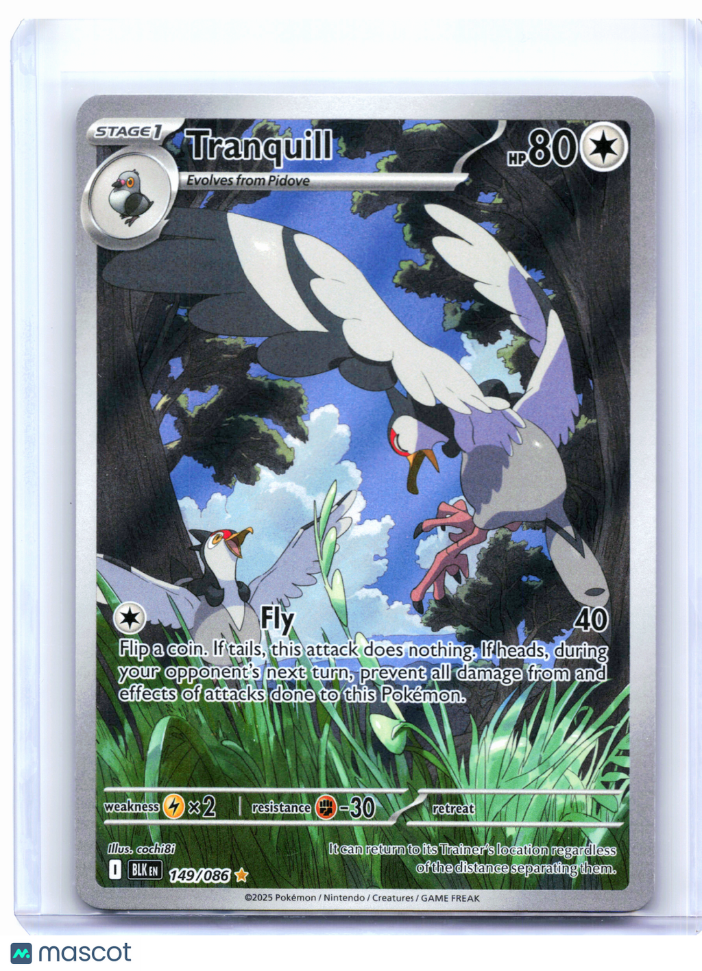 2025 Pokemon—Tranquill #149/086 Black Bolt—Illustration Rare Holo