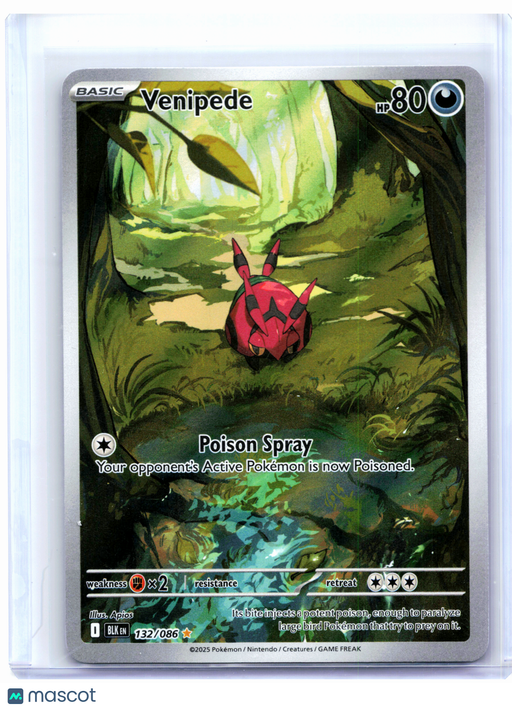 2025 Pokemon—Venipede #132/086 Black Bolt—Illustration Rare Holo