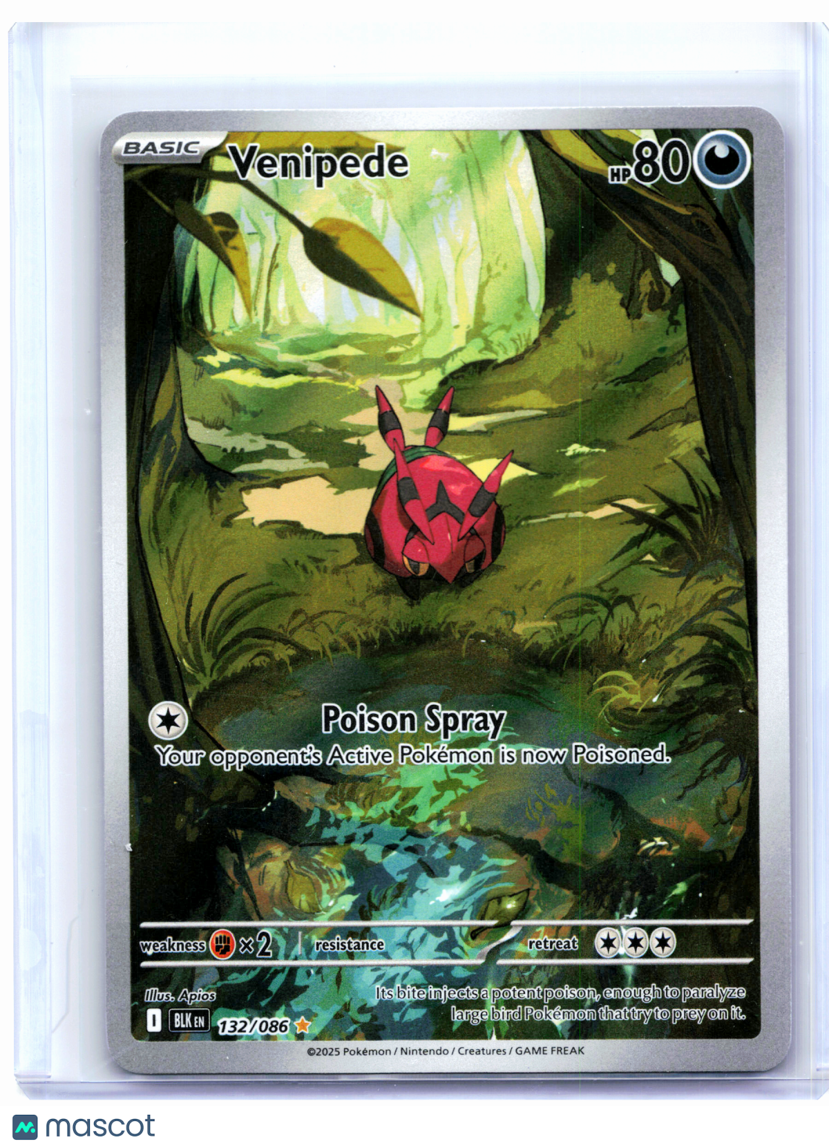 2025 Pokemon—Venipede #132/086 Black Bolt—Illustration Rare Holo
