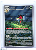 2024 Pokemon—Ledian #144/142 Stellar Crown—Illustration Rare Holo