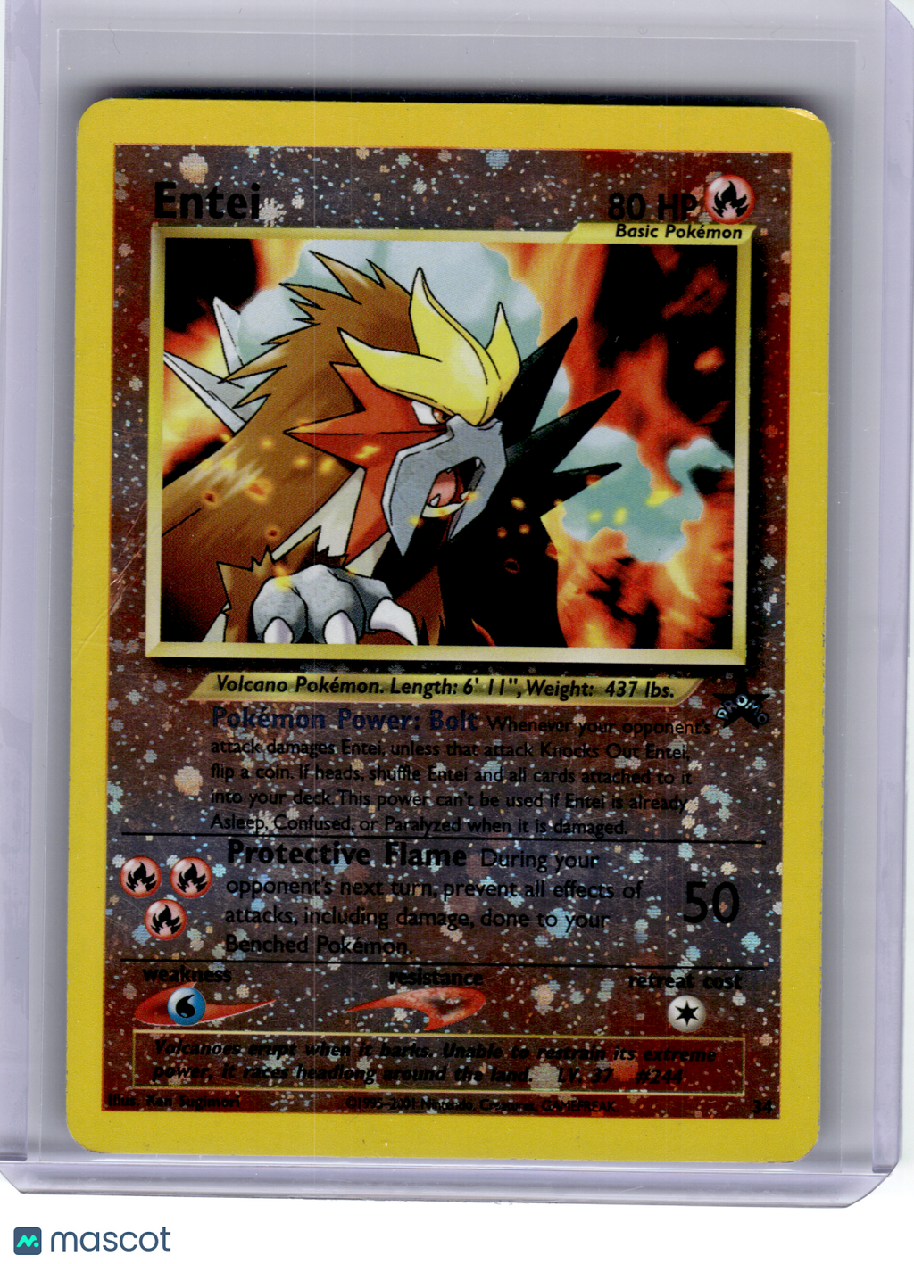 2001 Pokemon—Entei #34 Wizards of the Coast—Black Star Promo Holo [Damage]