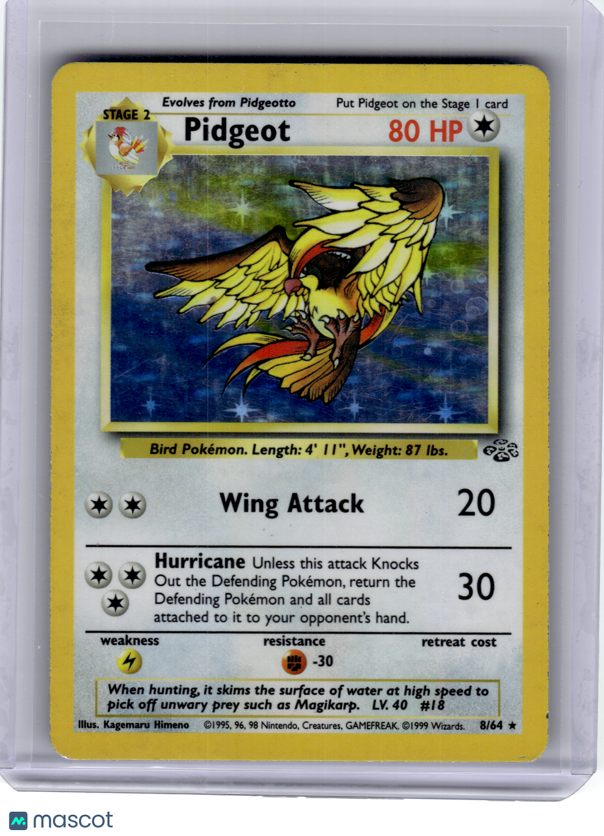 1999 Pokemon—Pidgeot #8 Jungle—Rare Holo [Damage]