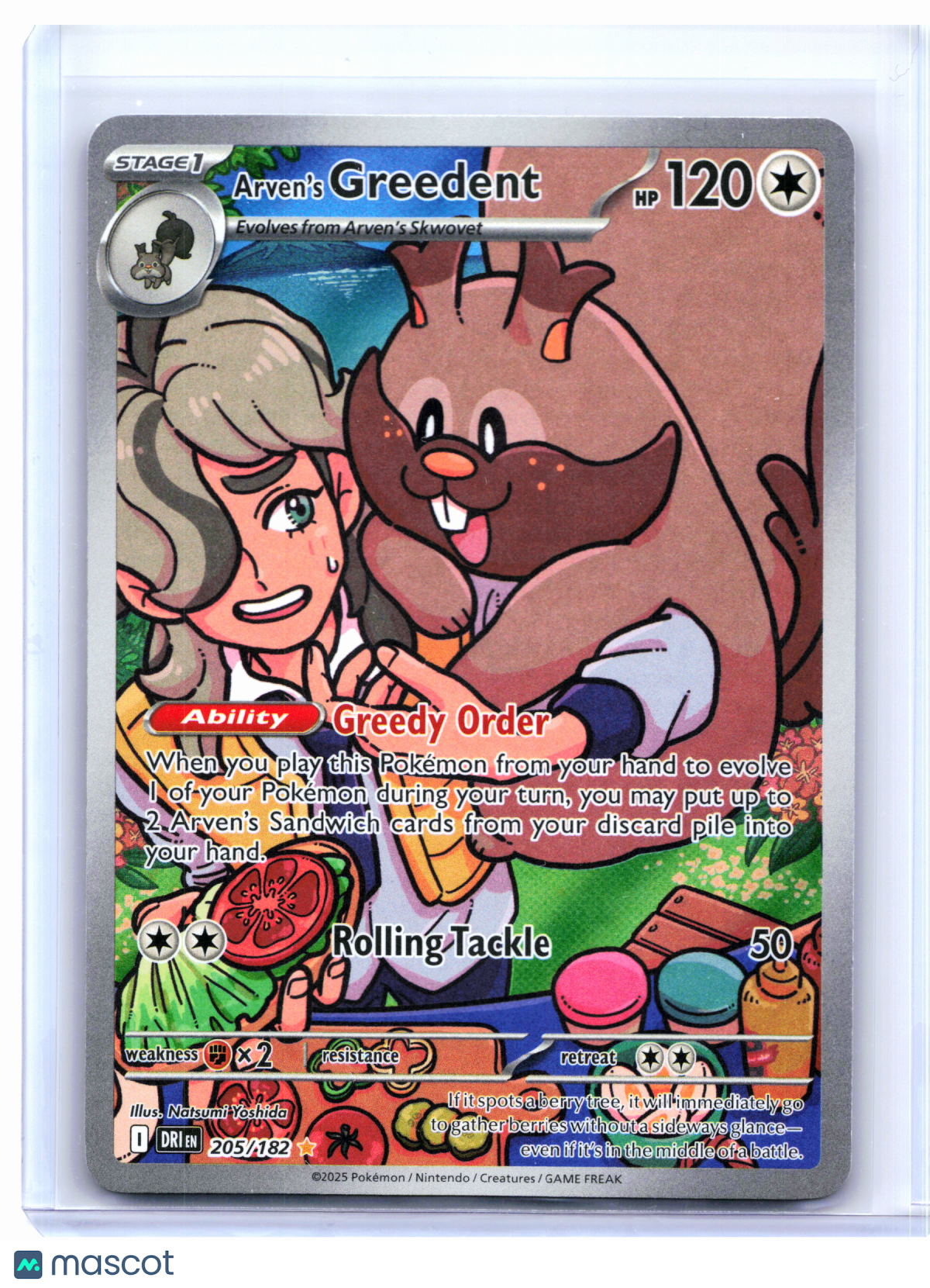 2025 Pokemon—Arven's Greedent #205/182 Destined Rivals—Illustration Rare Holo