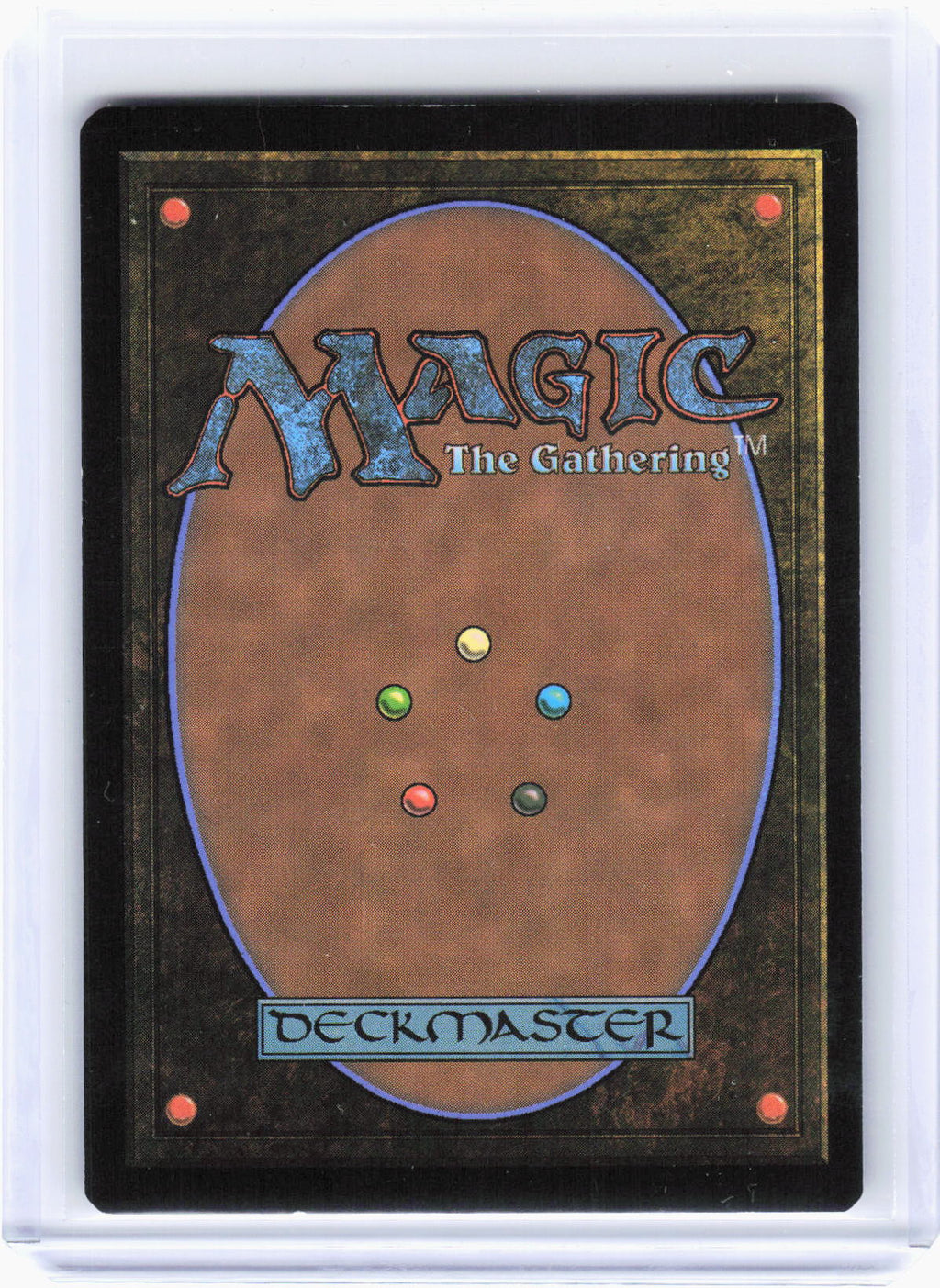 2024 Magic: The Gathering—Walk-In Closet // Forgotten Cellar #0205 PRE—M Foil