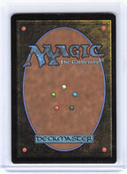 2024 Magic: The Gathering—Walk-In Closet // Forgotten Cellar #0205 PRE—M Foil