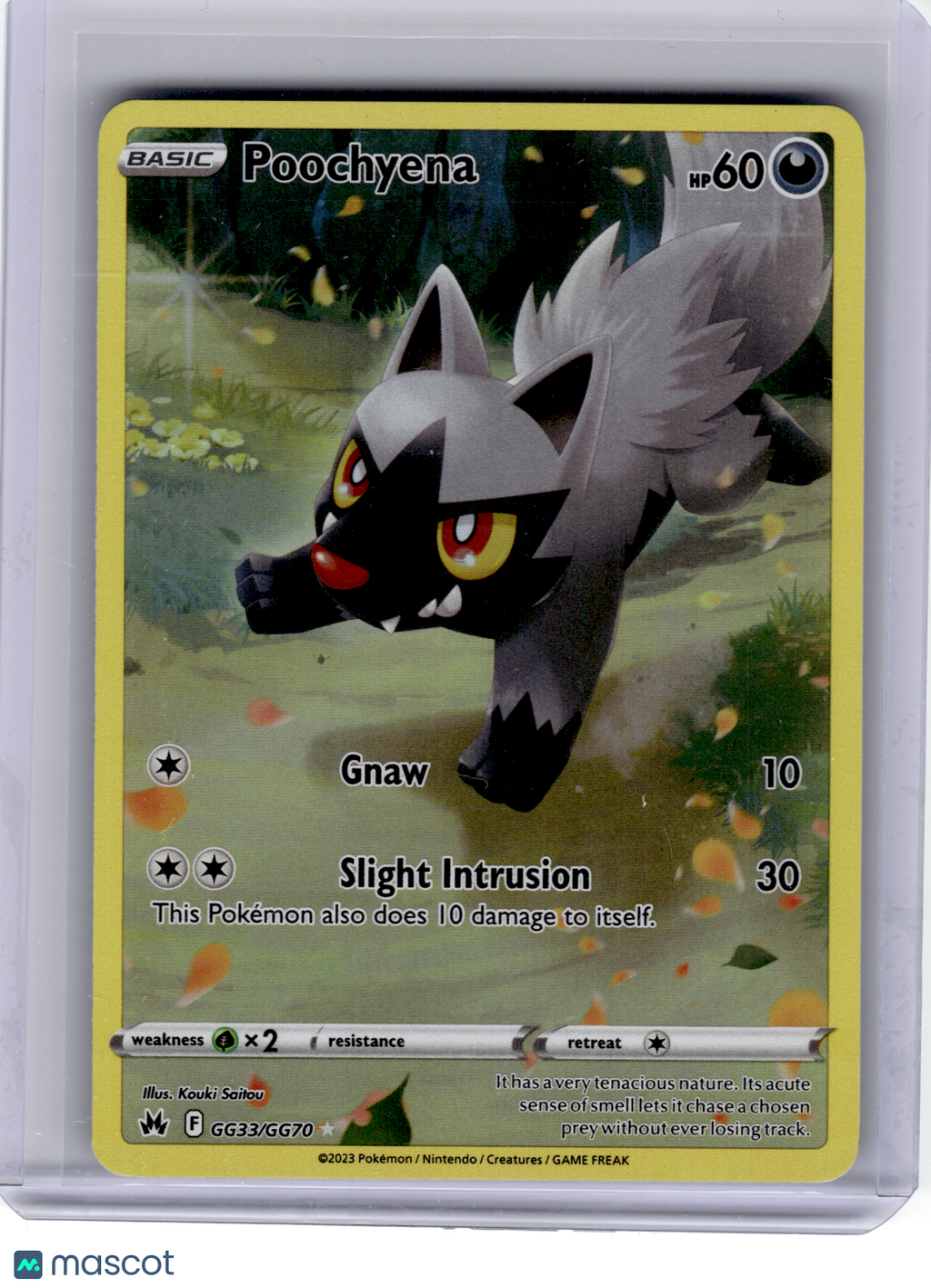 2023 Pokemon—Poochyena #GG33 Crown Zenith: Galarian Gallery—Rare Holo [LP]