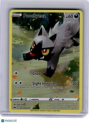 2023 Pokemon—Poochyena #GG33 Crown Zenith: Galarian Gallery—Rare Holo [LP]