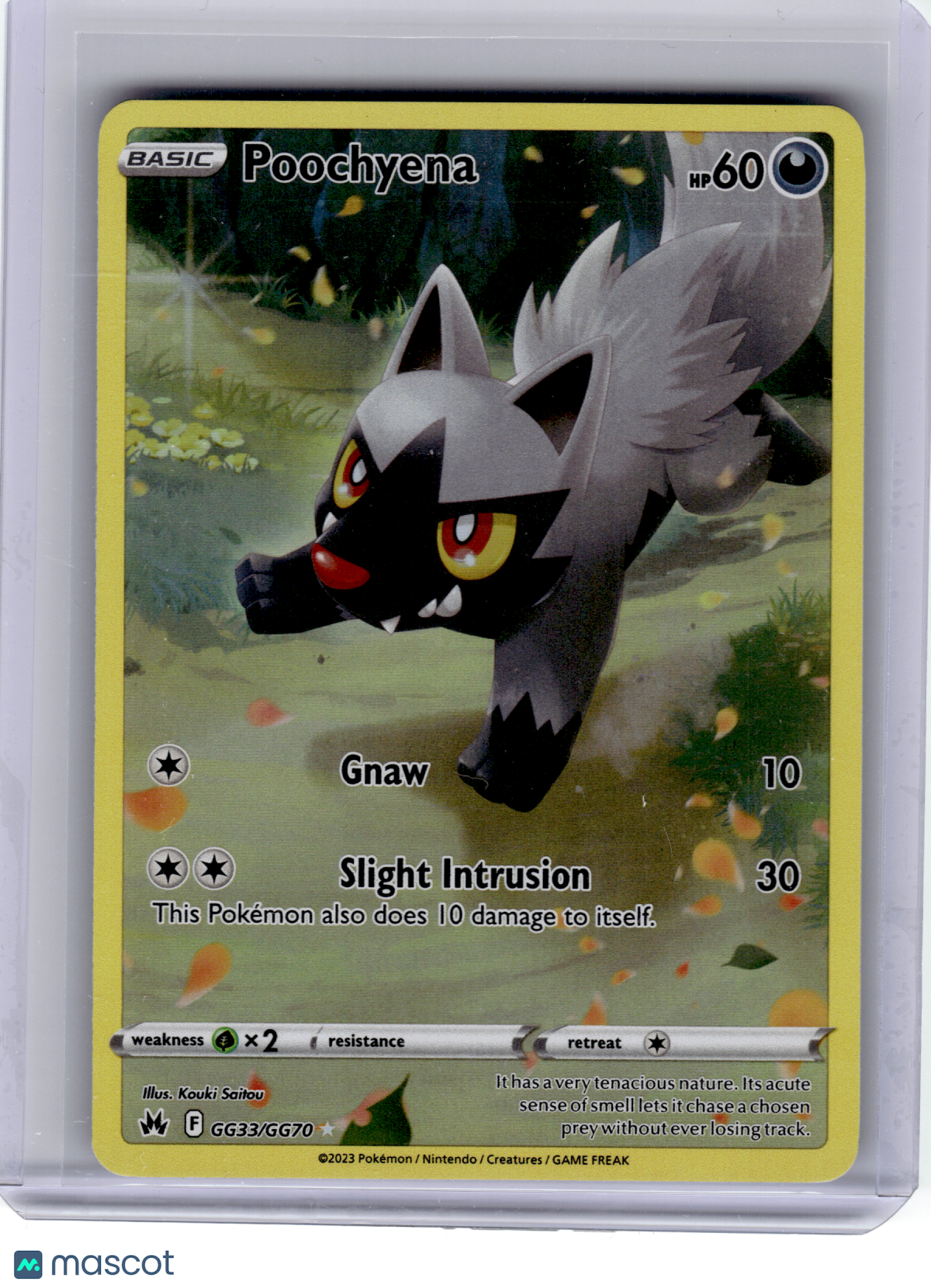 2023 Pokemon—Poochyena #GG33 Crown Zenith: Galarian Gallery—Rare Holo [LP]