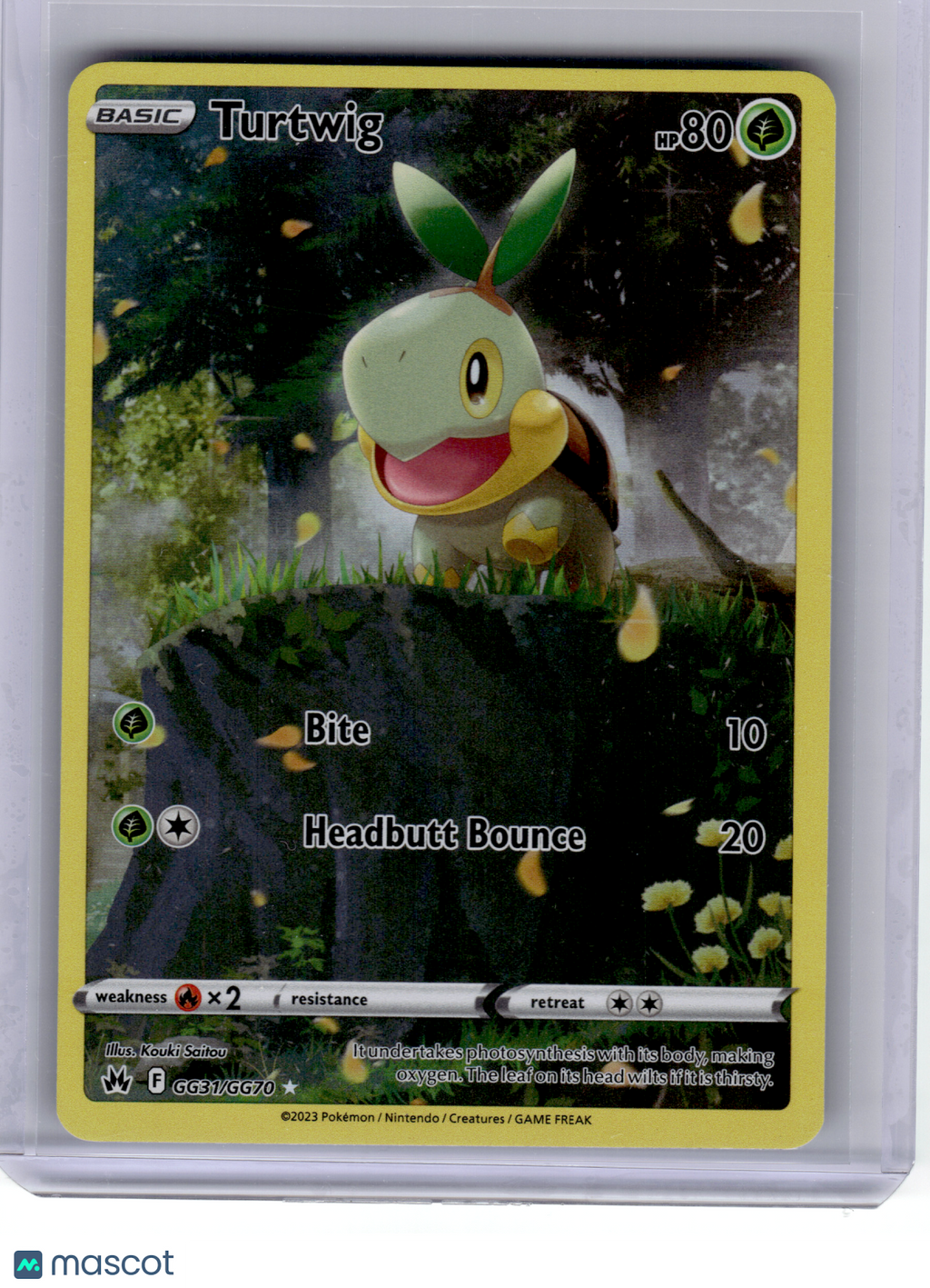2023 Pokemon—Turtwig #GG31 Crown Zenith: Galarian Gallery—Rare Holo [LP]