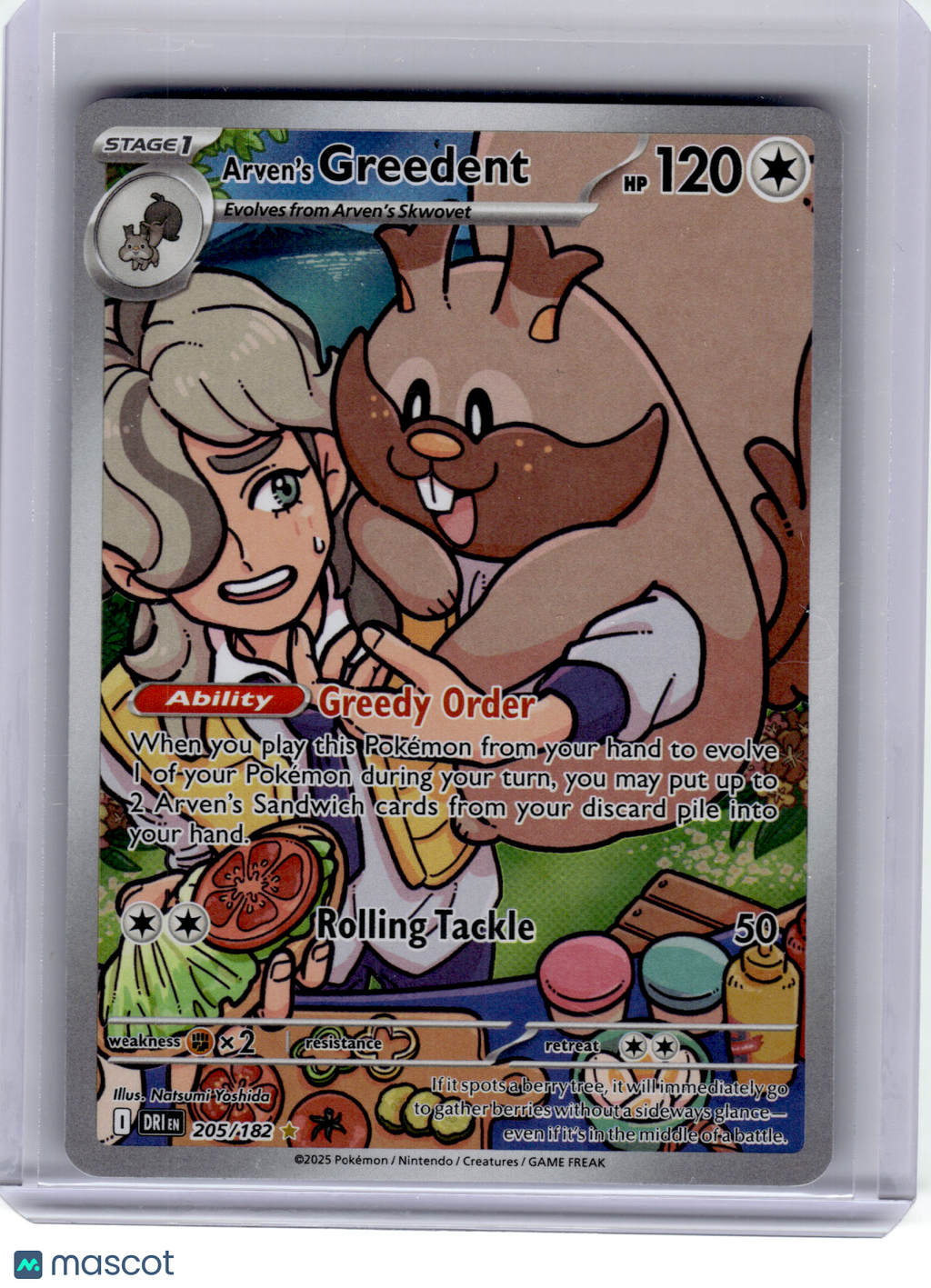 2025 Pokemon—Arven's Greedent #205 Destined Rivals—Illustration Rare Holo