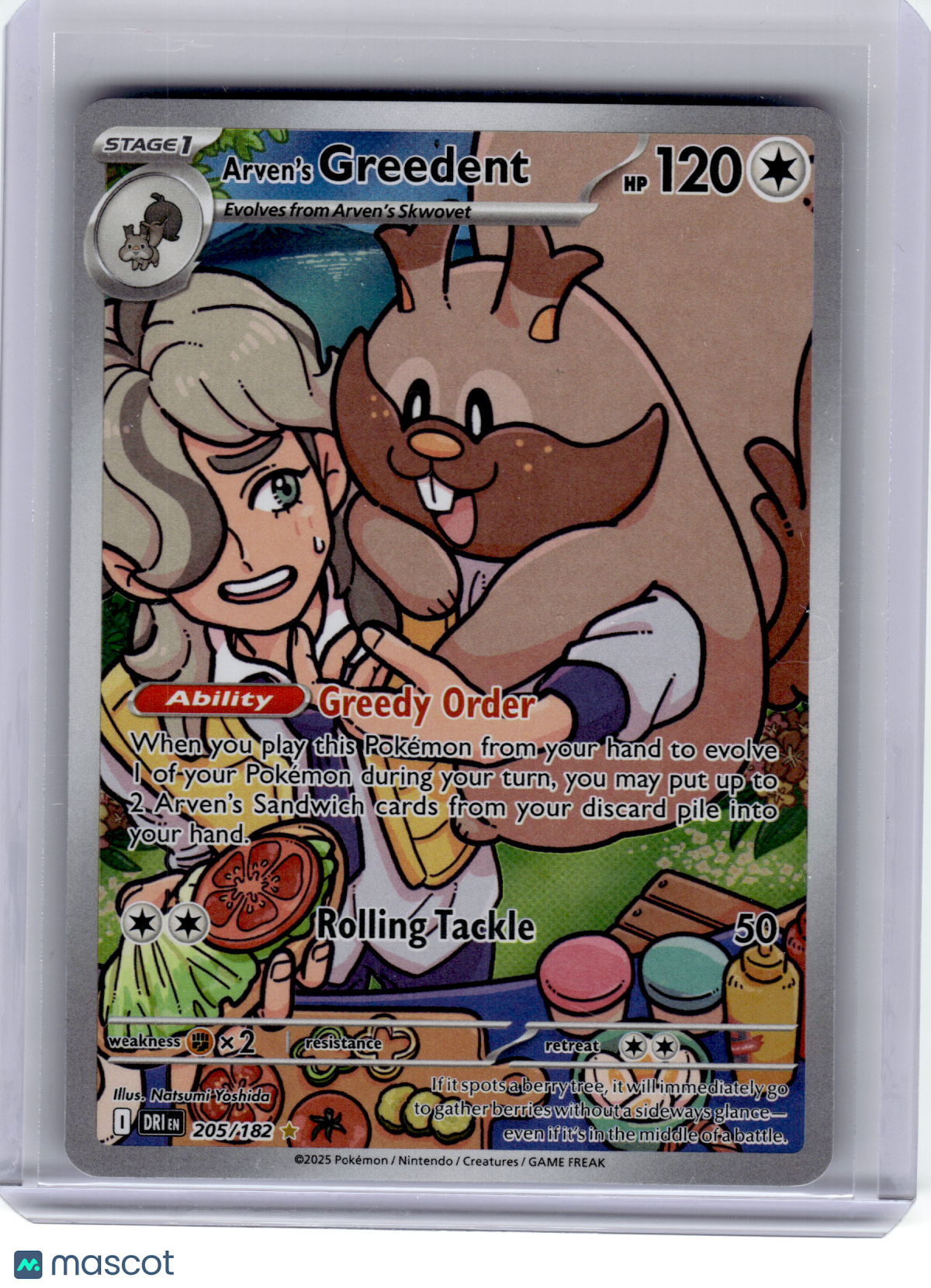 2025 Pokemon—Arven's Greedent #205 Destined Rivals—Illustration Rare Holo