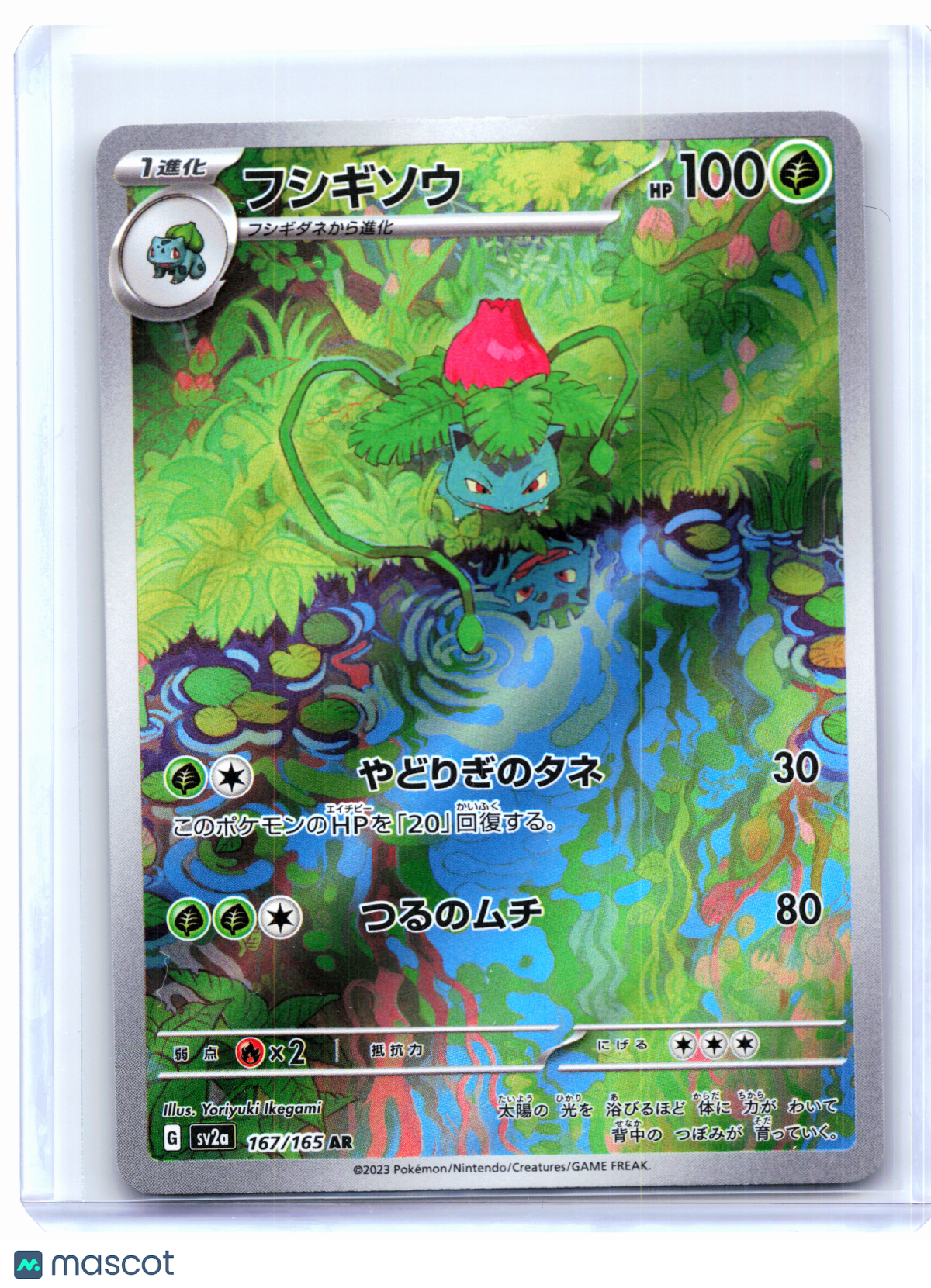 2023 Pokemon—Ivysaur #167/165 Pokemon Card 151—Art Rare Holo Japanese