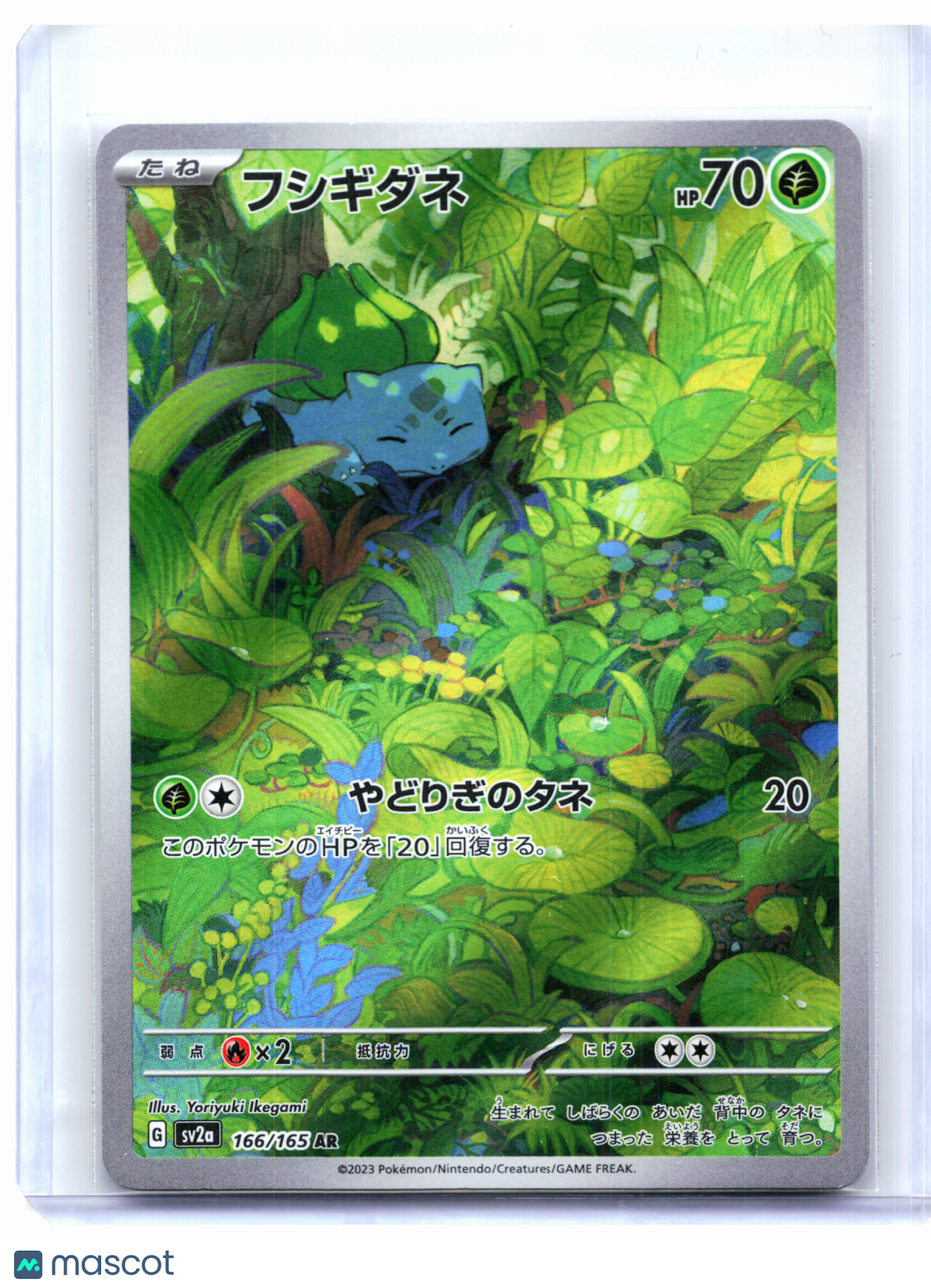 2023 Pokemon—Bulbasaur #166/165 Pokemon Card 151—Art Rare Holo Japanese