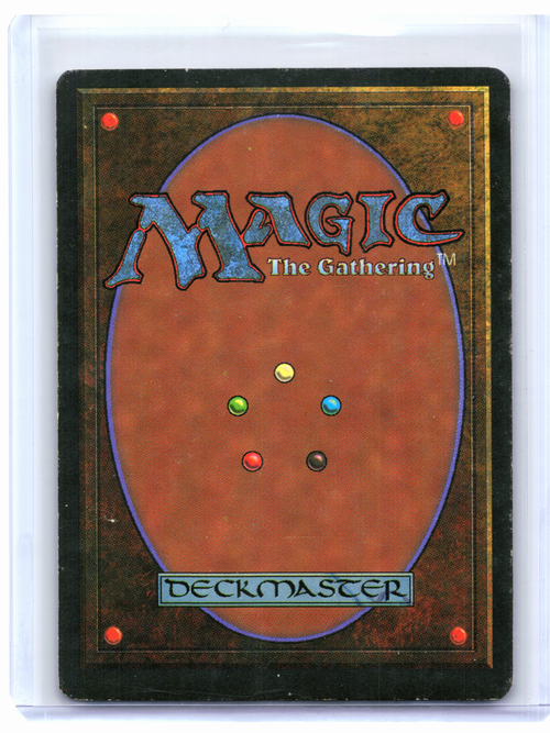 1995 Magic: The Gathering—Didgeridoo Homelands—Rare Nonfoil [Heavily Played]