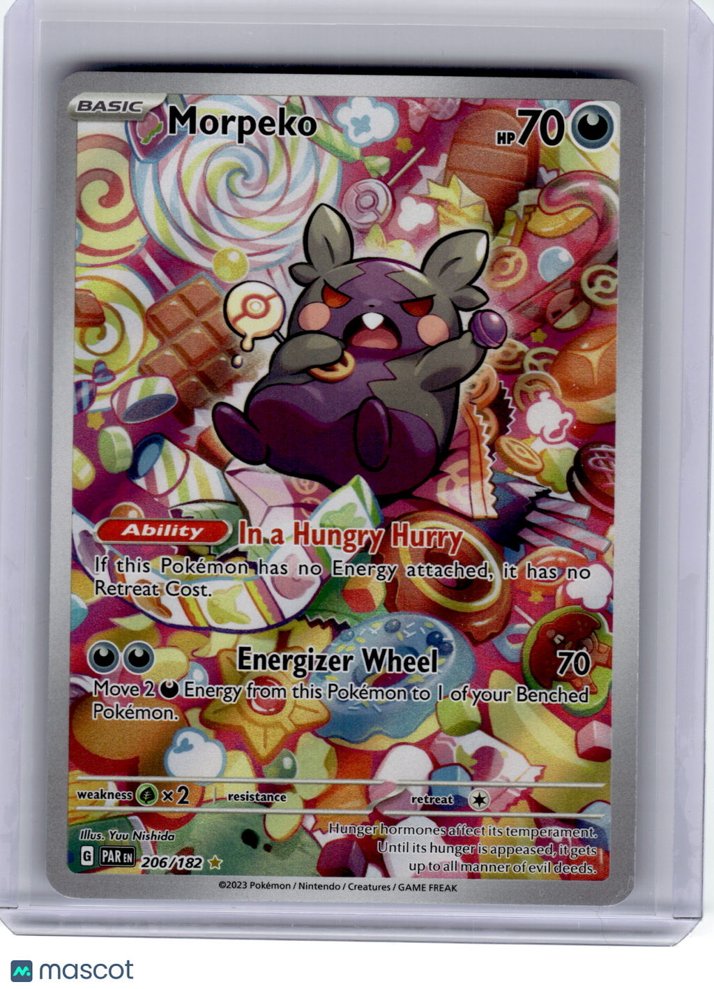 2023 Pokemon—Morpeko #206 Paradox Rift—Illustration Rare Holo [Lightly Played]