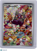 2023 Pokemon—Morpeko #206 Paradox Rift—Illustration Rare Holo [Lightly Played]