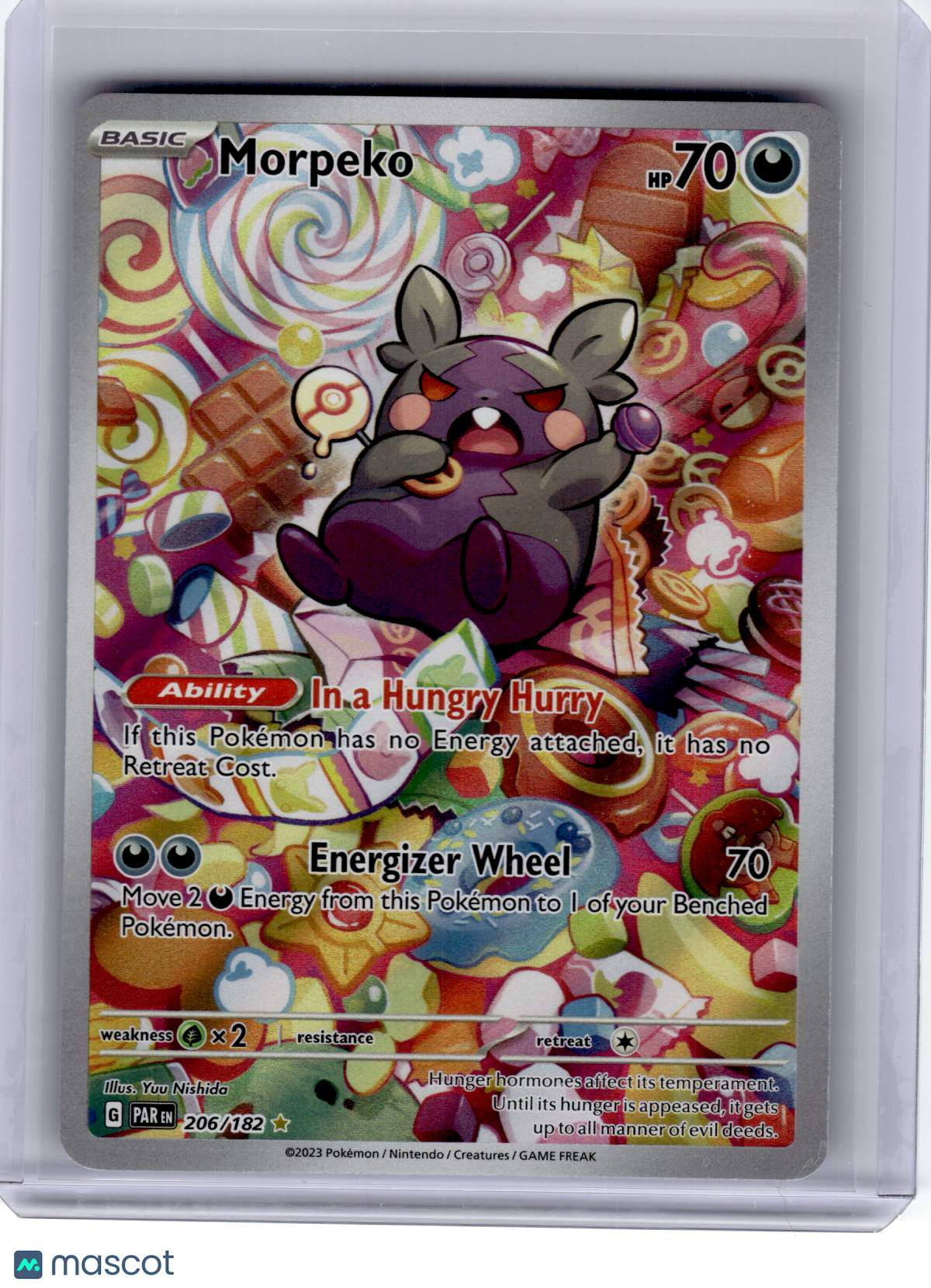 2023 Pokemon—Morpeko #206 Paradox Rift—Illustration Rare Holo [Lightly Played]