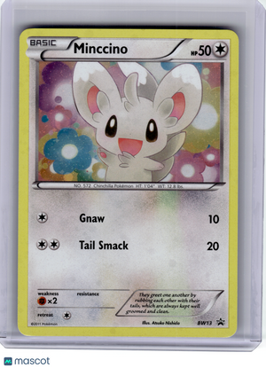 2011 Pokemon—Minccino #BW13 Black & White—Black Star Promo Holo [Lightly Played]