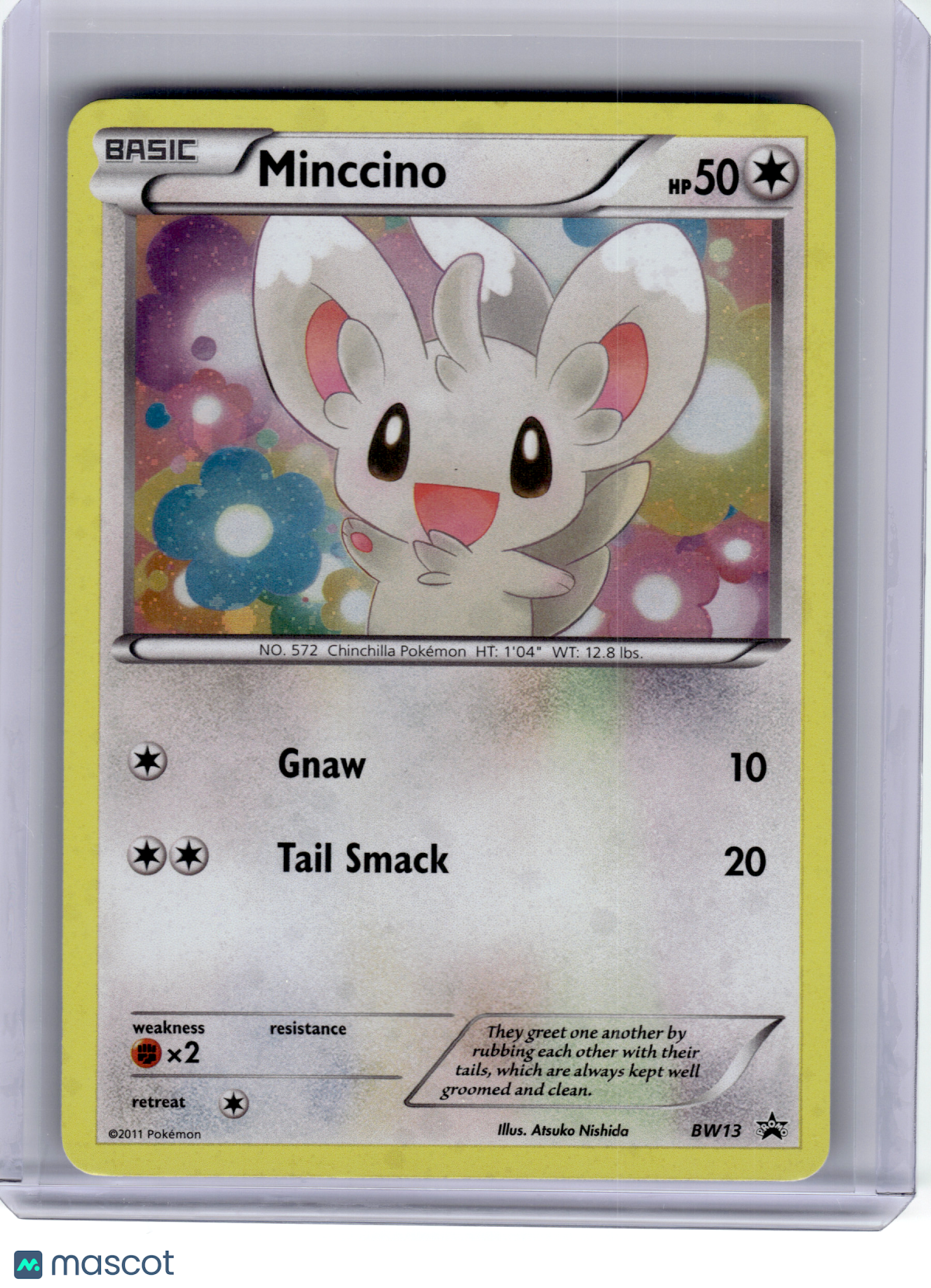 2011 Pokemon—Minccino #BW13 Black & White—Black Star Promo Holo [Lightly Played]