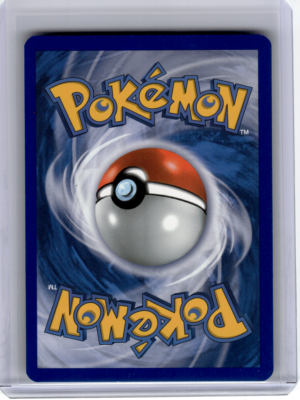 2011 Pokemon—Minccino #BW13 Black & White—Black Star Promo Holo [Lightly Played]