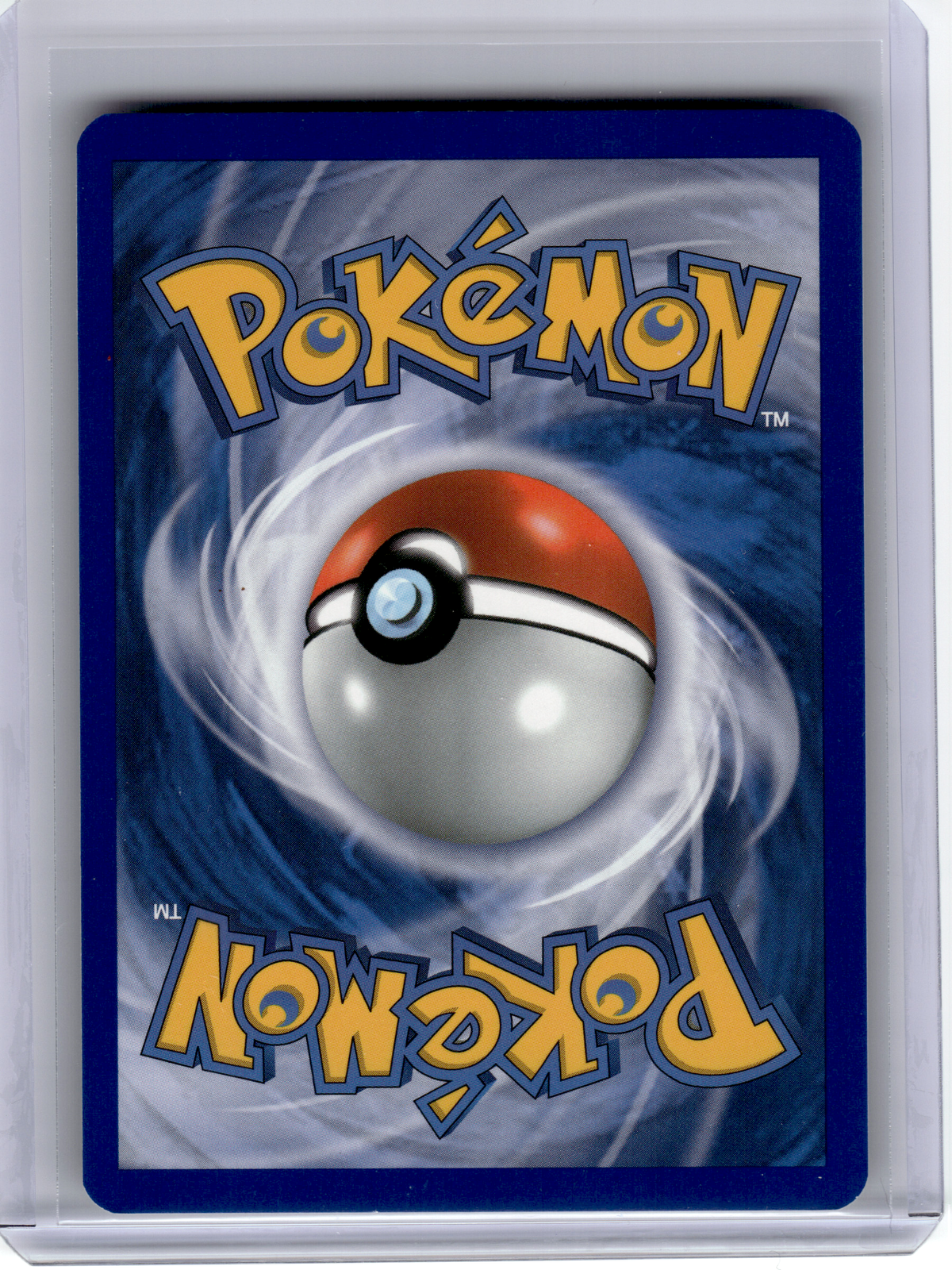 2011 Pokemon—Minccino #BW13 Black & White—Black Star Promo Holo [Lightly Played]