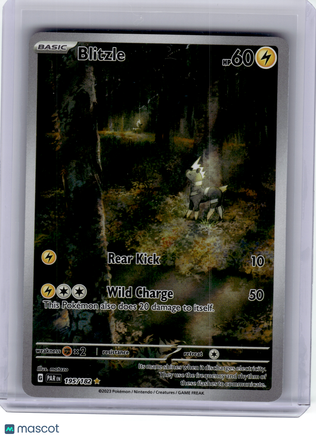 2023 Pokemon—Blitzle #195 Paradox Rift—Illustration Rare Holo [Lightly Played]