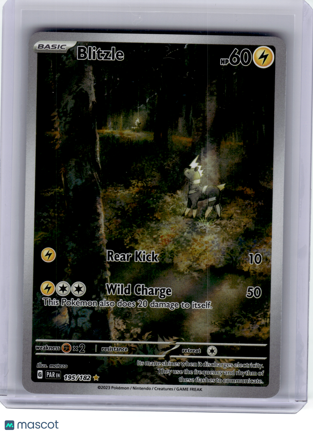 2023 Pokemon—Blitzle #195 Paradox Rift—Illustration Rare Holo [Lightly Played]
