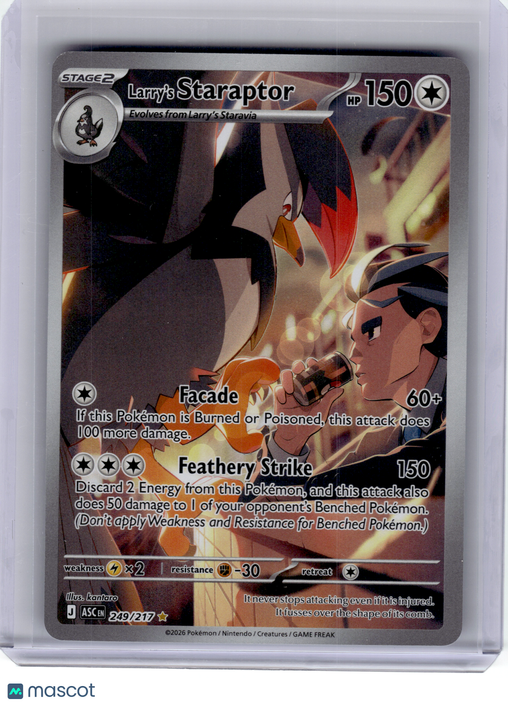 2026 Pokemon—Larry's Staraptor #249 Ascended Heroes—Illustration Rare Holo