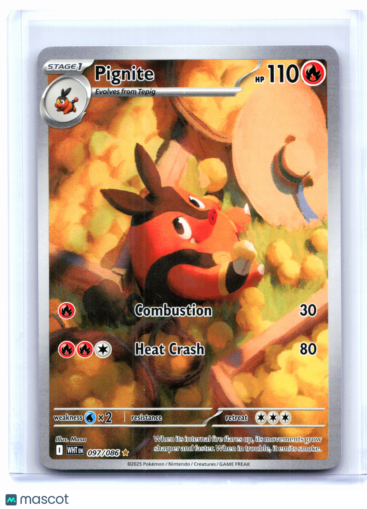 2025 Pokemon—Pignite #097/086 White Flare—Illustration Rare Holo