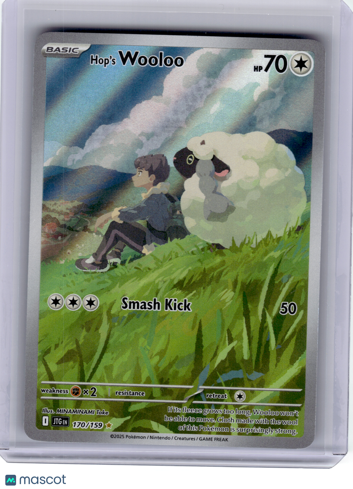 2025 Pokemon—Hop's Wooloo #170 Journey Together—Illustration Rare Holo