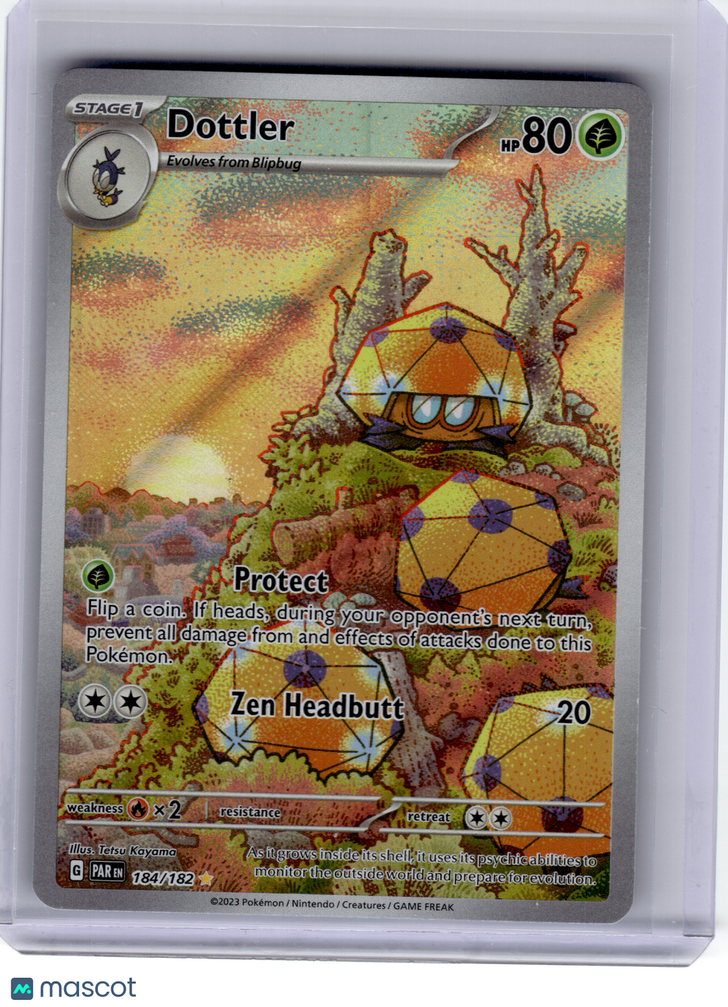 2023 Pokemon—Dottler #184 Paradox Rift—Illustration Rare Holo [Lightly Played]