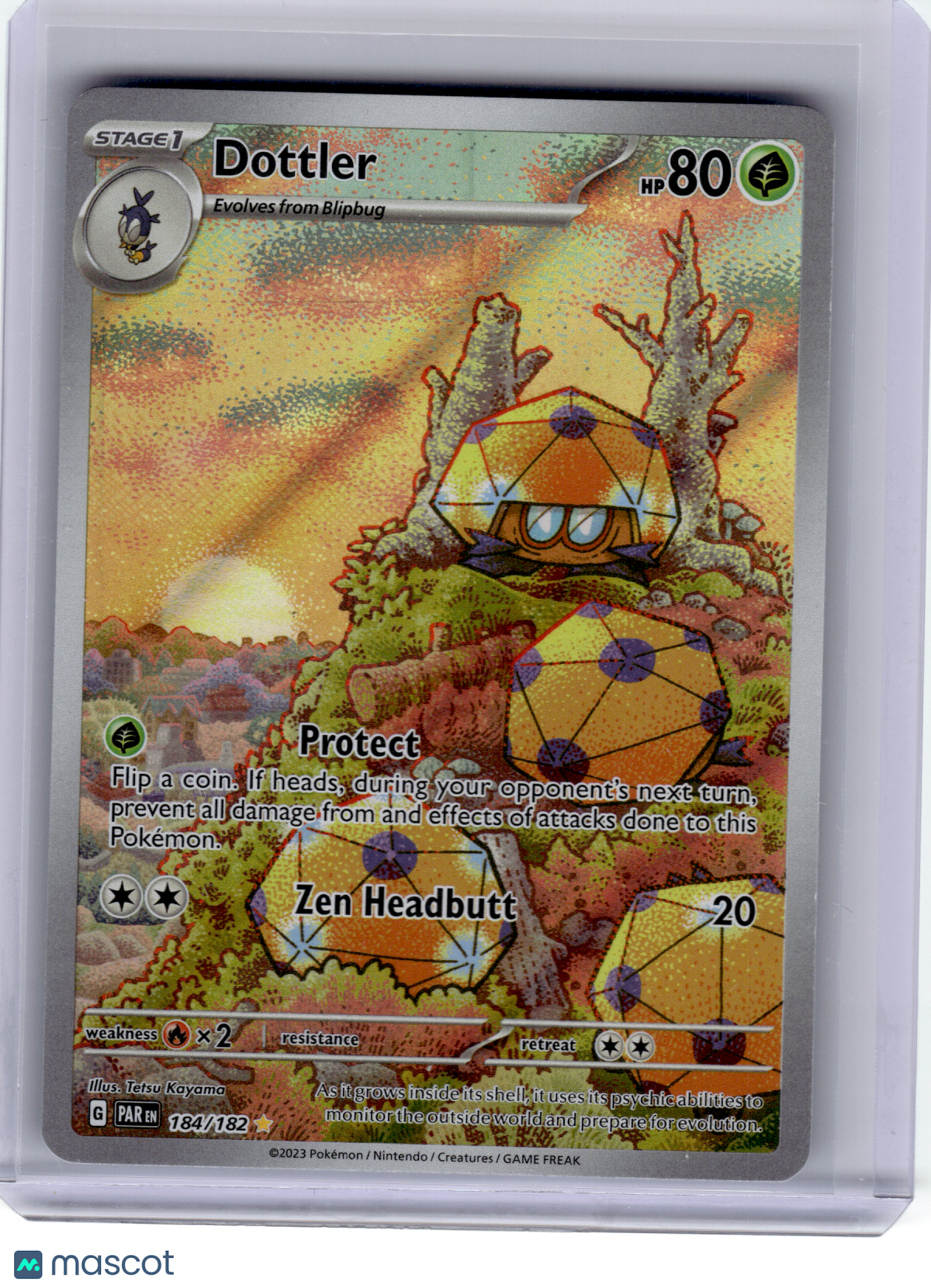 2023 Pokemon—Dottler #184 Paradox Rift—Illustration Rare Holo [Lightly Played]