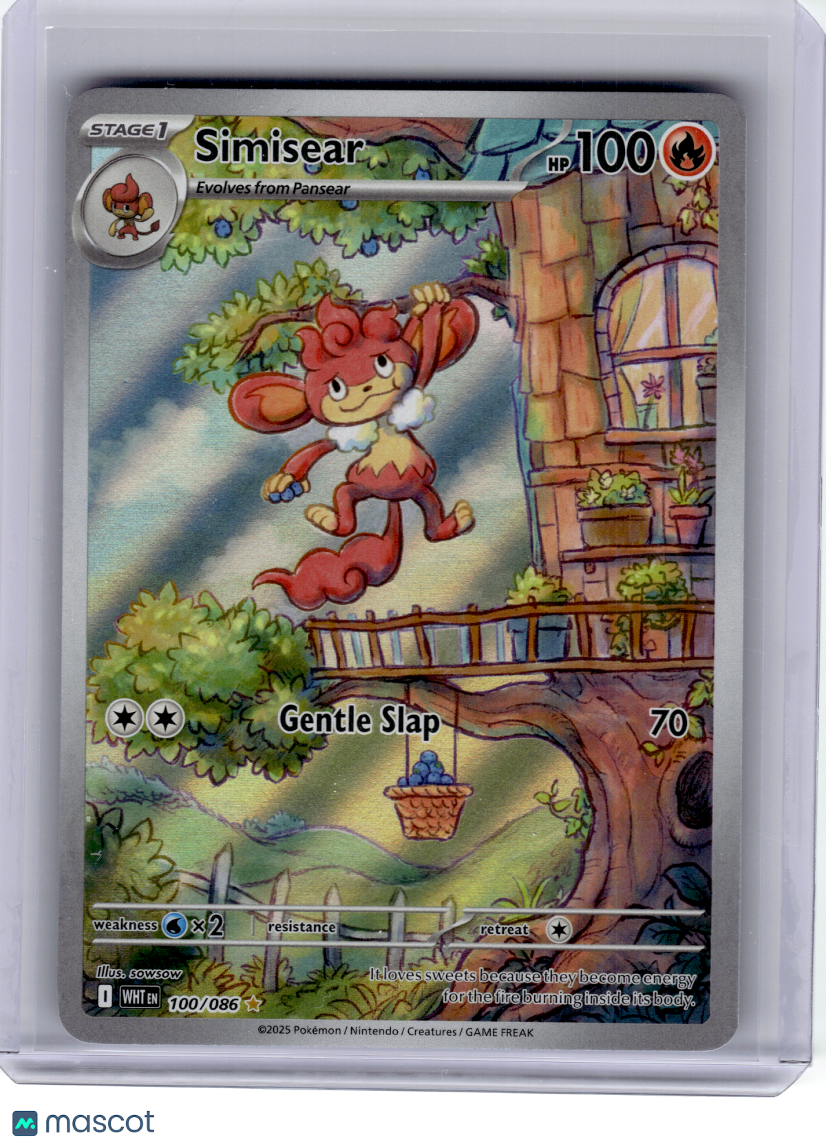 2025 Pokemon—Simisear #100 White Flare—Illustration Rare Holo
