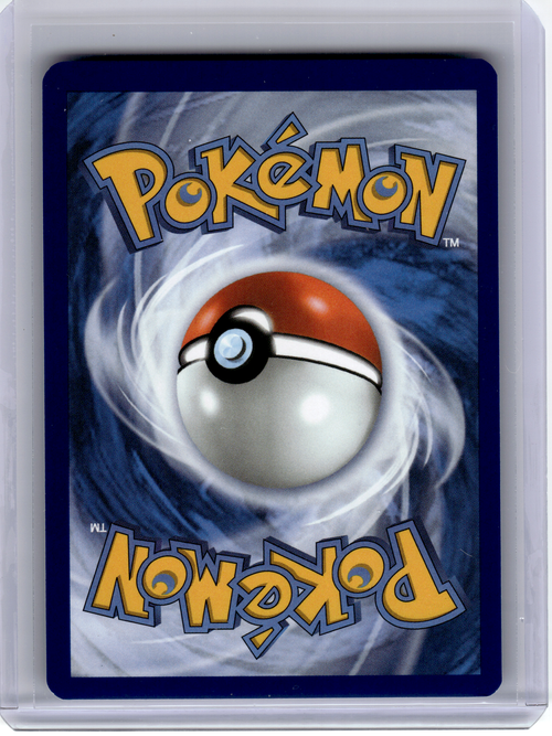 2025 Pokemon—Kangaskhan #204 Destined Rivals—Illustration Rare Holo